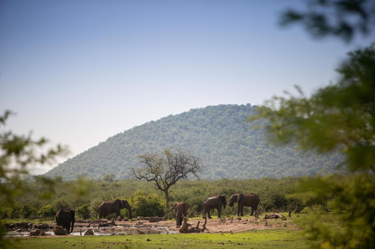 Willa Jamala Madikwe Madikwe Game Reserve Zewnętrze zdjęcie