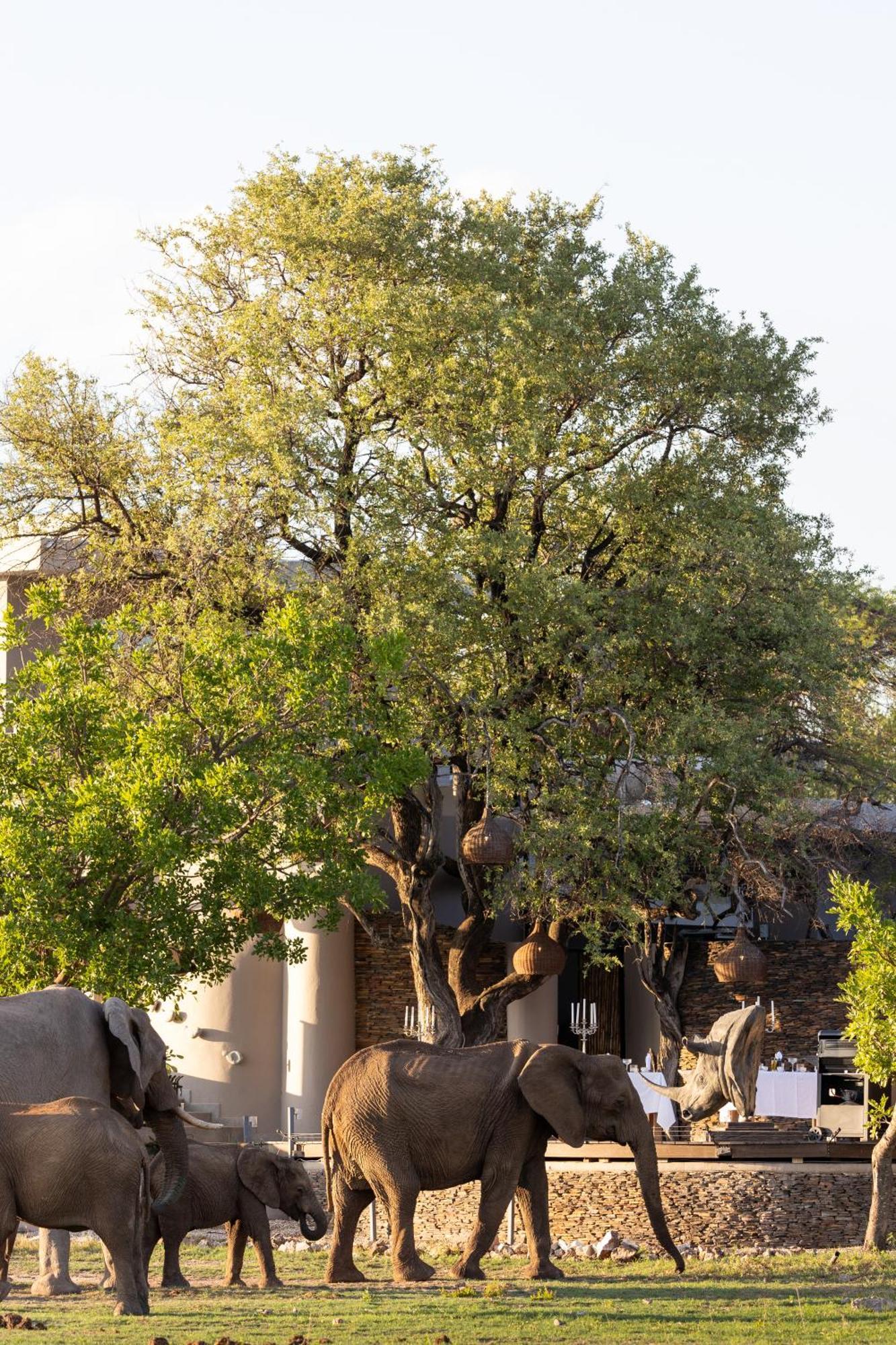 Willa Jamala Madikwe Madikwe Game Reserve Zewnętrze zdjęcie